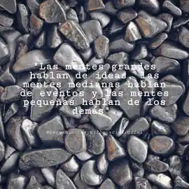 las_mentes_grandes_hablan_de_ideas_las_mentes_medianas_hablan_de_eventos_y_las_mentes_pequenas_hablan_de_los_demas
