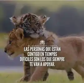 las_personas_que_estan_contigo_en_tiempos_dificiles_son_los_que_siempre_te_van_a_apoyar