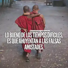 lo_bueno_de_los_tiempos_dificiles_es_que_ahuyentan_a_las_falsas_amistades