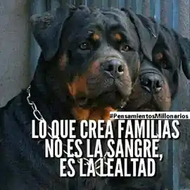 lo_que_crea_familias_no_es_la_sangre_es_la_lealtad