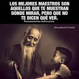 los_mejores_maestros_son_aquellos_que_te_muestran_donde_mirar_pero_que_no_te_dicen_que_ver