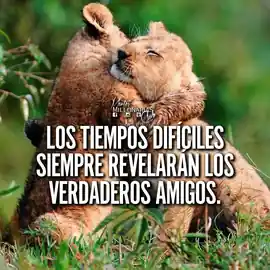 los_tiempos_dificiles_siempre_revelaran_los_verdaderos_amigos