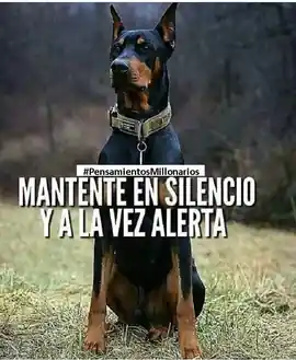 mantente_en_silencio_y_a_la_vez_alerta