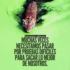 muchas_veces_necesitamos_pasar_por_pruebas_dificiles_para_sacar_lo_mejor_de_nosotros