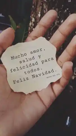 mucho_amor_salud_y_felicidad_para_todos_feliz_navidad