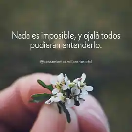 nada_es_imposible_y_ojala_todos_pudieran_entenderlo