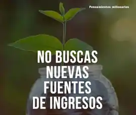 no_busques_nuevas_fuentes_de_ingresos