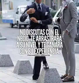 no_discutas_con_el_necio_te_arrastrara_a_su_nivel_y_te_ganara_con_su_experiencia