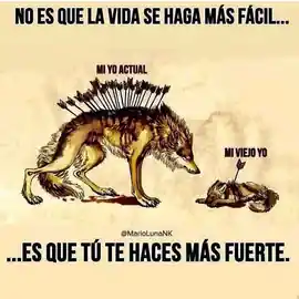 no_es_que_la_vida_se_haga_mas_facil_es_que_tu_te_haces_mas_fuerte