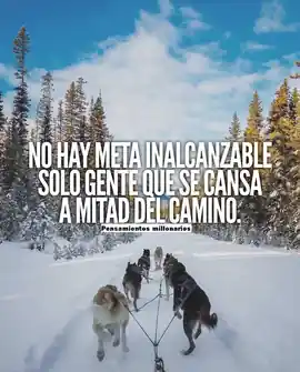 no_hay_meta_inalcanzable_solo_gente_que_se_cansa_a_mitad_del_camino