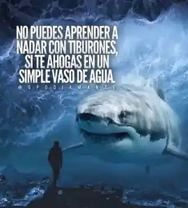 no_puedes_aprender_a_nadar_con_tiburones_si_te_ahogas_en_un_simple_vaso_de_agua