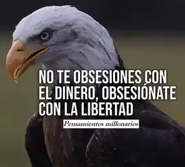 no_te_obsesiones_con_el_dinero_obsesionate_con_la_libertad