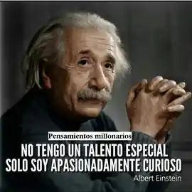 no_tengo_un_talento_especial_solo_soy_apasionadamente_curioso