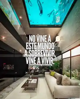 no_vine_a_este_mundo_a_sobrevivir_vine_a_vivir