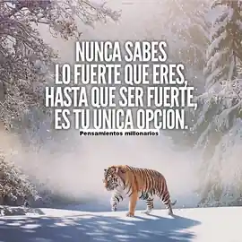 nunca_sabes_lo_fuerte_que_eres_hasta_que_ser_fuerte_es_tu_unica_opcion