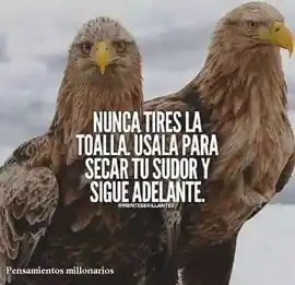 nunca_tires_la_toalla_usala_para_secar_tu_sudor_y_sigue_adelante