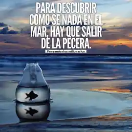 para_descubrir_como_se_nada_en_el_mar_hay_que_salir_de_la_pecera