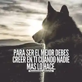para_ser_el_mejor_debes_creer_en_ti_cuando_nadie_mas_lo_hace