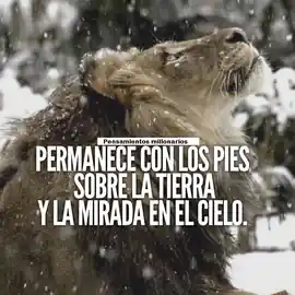 permanece_con_los_pies_sobre_la_tierra_y_la_mirada_en_el_cielo