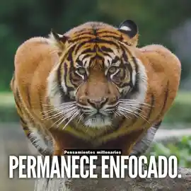 permanece_enfocado