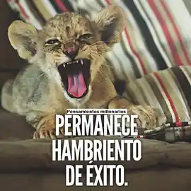 permanece_hambriento_de_exito