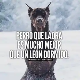 perro_que_ladra_es_mucho_mejor_que_un_leon_dormido