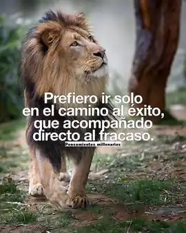 prefiero_ir_solo_en_el_camino_al_exito_que_acompanado_directo_al_fracaso
