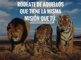 rodeate_de_aquellos_que_tiene_la_misma_mision_que_tu