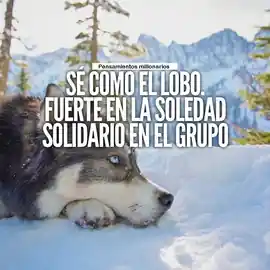 se_como_el_lobo_fuerte_en_la_soledad_solidario_en_el_grupo