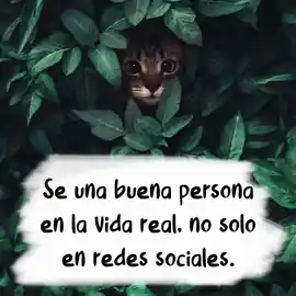 se_una_buena_persona_en_la_vida_real_no_solo_en_redes_sociales