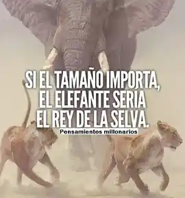 si_el_tamano_importara_el_elefante_seria_el_rey_de_la_selva