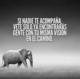 si_nadie_te_acompana_vete_solo_y_encontraras_gente_con_tu_misma_vision_en_el_camino