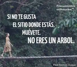 si_no_te_gusta_el_sitio_donde_estas_muevete_no_eres_un_arbol