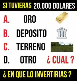 si_tuvieras_20000_dolares_en_que_lo_invertirias_