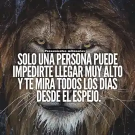solo_una_persona_puede_impedirte_llegar_muy_alto_y_te_mira_todos_los_dias_desde_el_espejo