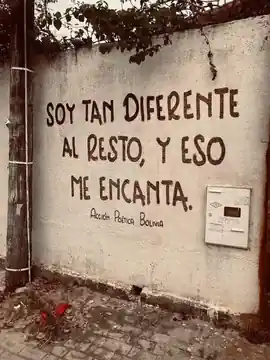 soy_tan_diferente_al_resto_y_eso_me_encanta