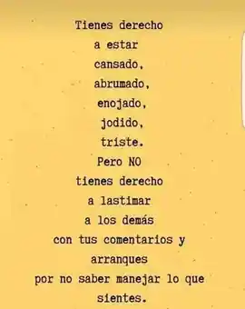 tienes_derecho_a_estar_cansado_abrumado_enojado_jodido_triste_pero_no_tienes_derecho_a_lastimar_a_los_demas_con_tus_comentarios_y_arranques_por_no_saber_manejar_lo_que_sientes