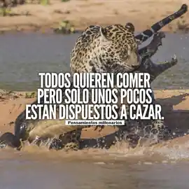 todos_quieren_comer_pero_solo_unos_pocos_estan_dispuestos_a_cazar