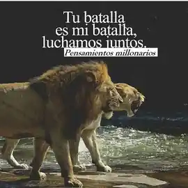 tu_batalla_es_mi_batalla_luchamos_juntos