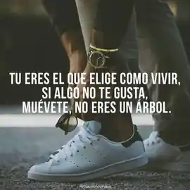 tu_eres_el_que_elige_como_vivir_si_algo_no_te_gusta_muevete_no_eres_un_arbol