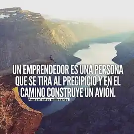 un_emprendedor_es_una_persona_que_se_tira_al_precipicio_y_en_el_camino_construye_un_avion