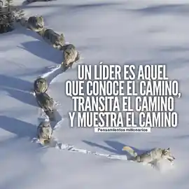 un_lider_es_aquel_que_conoce_el_camino_transita_el_camino_y_muestra_el_camino