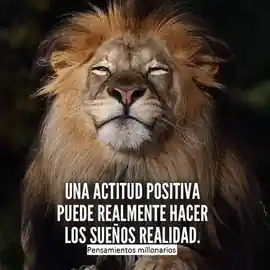 una_actitud_positiva_puede_realmente_hacer_los_suenos_realidad