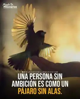 una_persona_sin_ambicion_es_como_un_pajaro_sin_alas