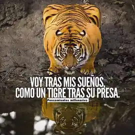 voy_tras_mis_suenos_como_un_tigre_tras_su_presa