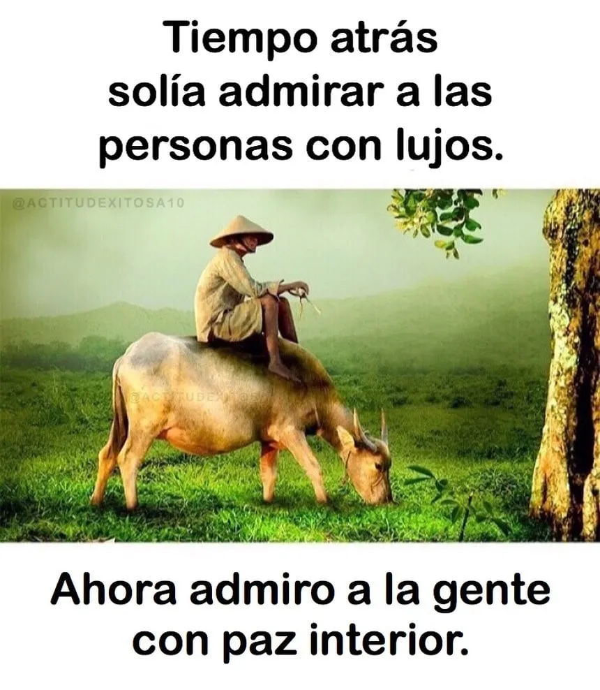 Tiempo atrás solía admirar a las personas con lujos.