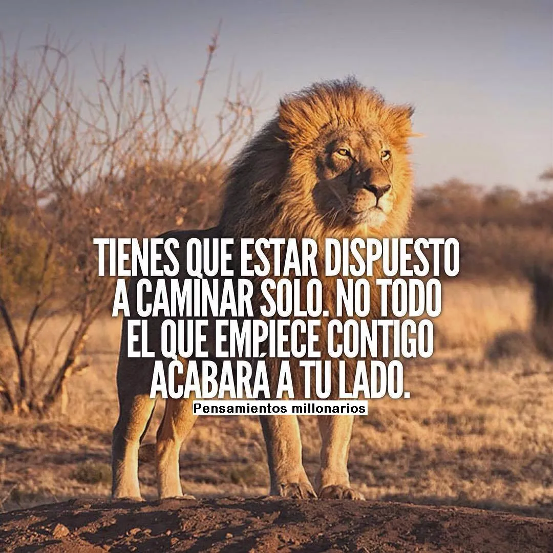 Tienes que estar dispuesto a caminar solo.