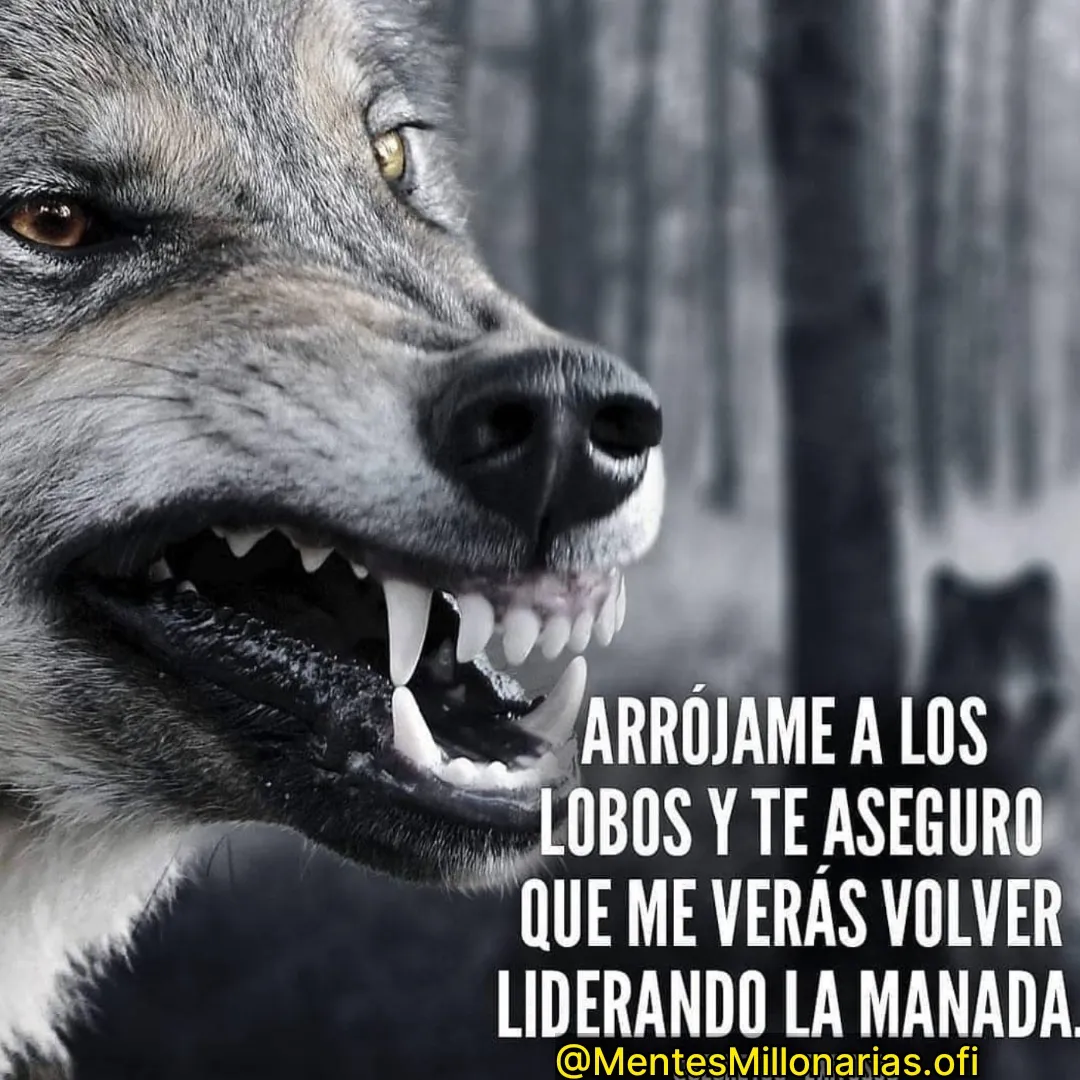 Arrójame a los lobos y te aseguro que me verás volver liderando la manada.