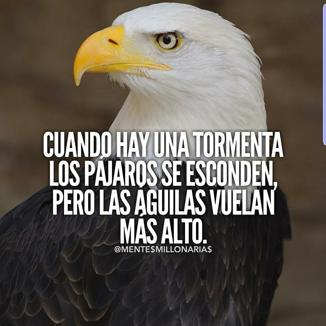 Cuando hay una tormenta las águilas vuelan más alto.