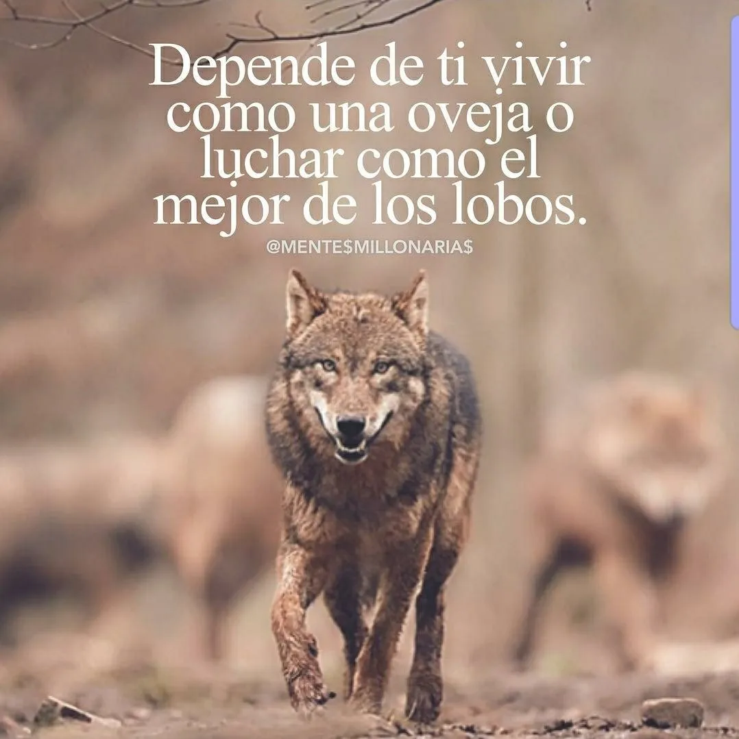 Depende de ti vivir como una oveja. . .